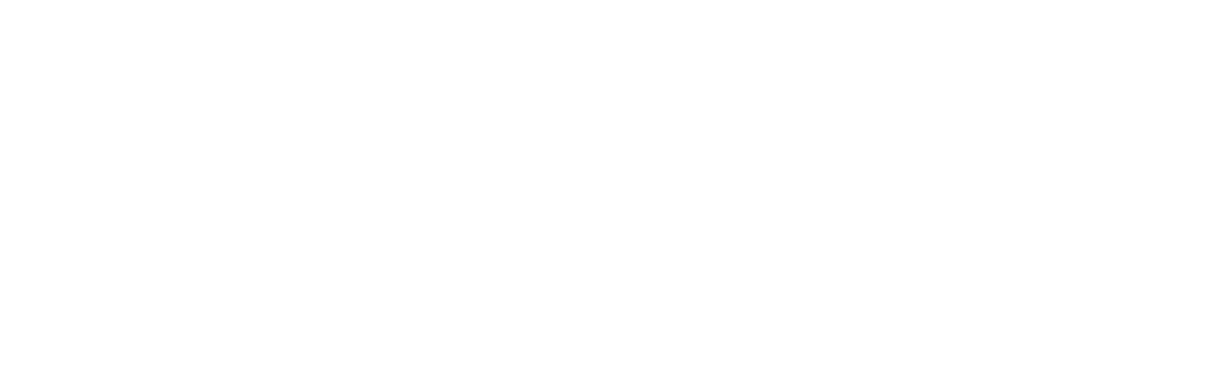 ANT Logo
